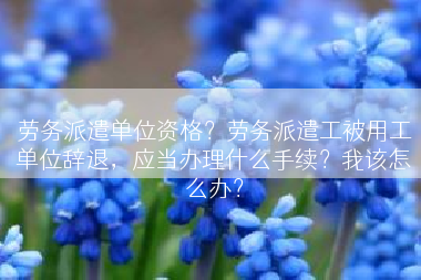 劳务派遣单位资格？劳务派遣工被用工单位辞退，应当办理什么手续？我该怎么办？