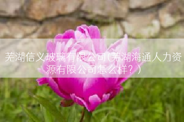 芜湖信义玻璃有限公司(芜湖海通人力资源有限公司怎么样？)