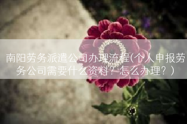 南阳劳务派遣公司办理流程(个人申报劳务公司需要什么资料？怎么办理？)
