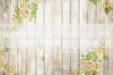 桂能软件劳务派遣(沈阳软件开发，科东（和科东签劳务派遣合同）和东软，哪个好？急求回答)