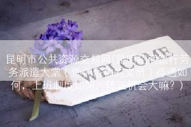 昆明市公共资源交易网(昆明招商银行劳务派遣大堂（他们俗称的文员）待遇如何，上班制度如何，转正机会大嘛？)