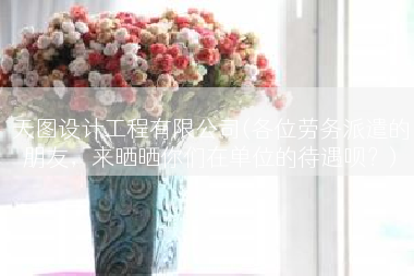 天图设计工程有限公司(各位劳务派遣的朋友，来晒晒你们在单位的待遇呗？)