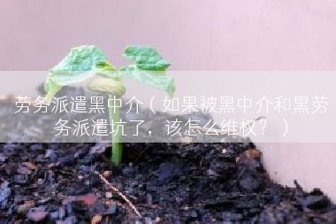 劳务派遣黑中介（如果被黑中介和黑劳务派遣坑了，该怎么维权？）