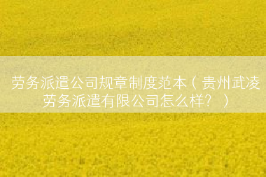 劳务派遣公司规章制度范本（贵州武凌劳务派遣有限公司怎么样？）