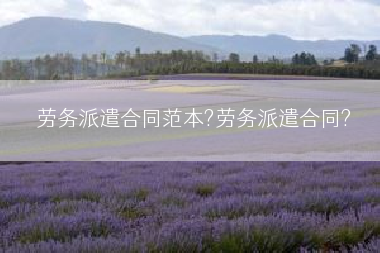 劳务派遣合同范本?劳务派遣合同?