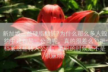 新加坡三益硬脂酸锌?为什么那么多人毁约中建四局三公司呢，真的很差么？把档案这些转入公司，离职的时候是不是很麻烦?