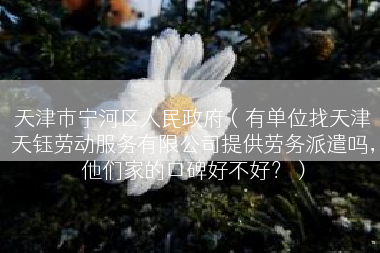 天津市宁河区人民政府（有单位找天津天钰劳动服务有限公司提供劳务派遣吗，他们家的口碑好不好？）