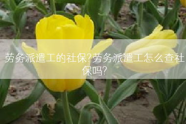 劳务派遣工的社保?劳务派遣工怎么查社保吗?