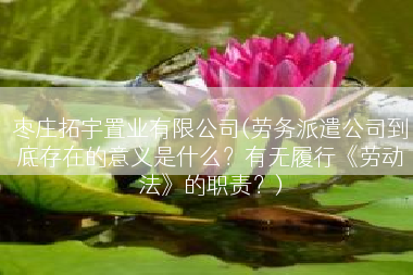 枣庄拓宇置业有限公司(劳务派遣公司到底存在的意义是什么？有无履行《劳动法》的职责？)