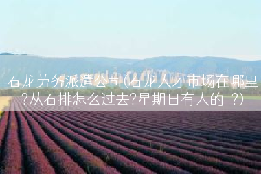 石龙劳务派遣公司(石龙人才市场在哪里?从石排怎么过去?星期日有人的嚒?)