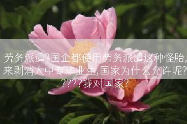 劳务派遣?国企都使用劳务派遣这种怪胎,来剥消大中专毕业生,国家为什么允许呢?????我对国家?