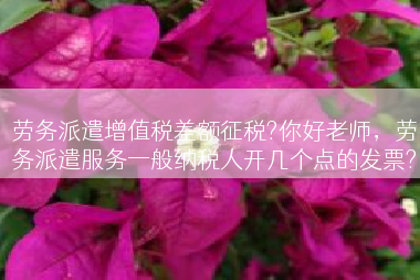 劳务派遣增值税差额征税?你好老师，劳务派遣服务一般纳税人开几个点的发票?