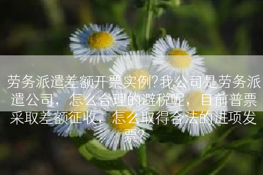 劳务派遣差额开票实例?我公司是劳务派遣公司，怎么合理的避税呢，目前普票采取差额征收，怎么取得合法的进项发票?