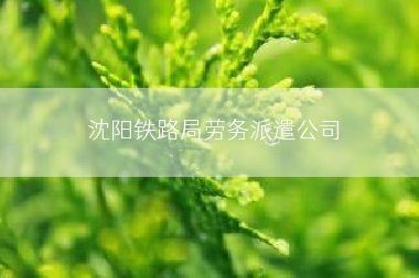 沈阳铁路局劳务派遣公司