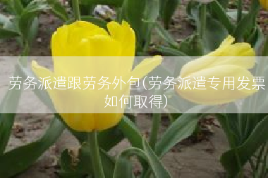 劳务派遣跟劳务外包(劳务派遣专用发票如何取得)