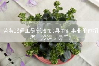 劳务派遣工最新政策(县里面事业单位招考，派遣制员工)