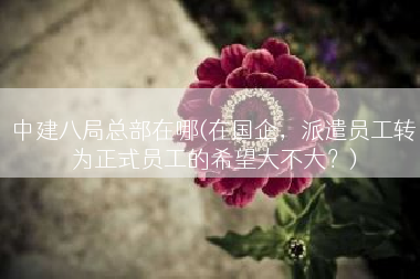 中建八局总部在哪(在国企，派遣员工转为正式员工的希望大不大？)