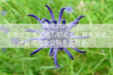 东莞市劳务派遣？制造业，劳务派遣，一般派遣公司服务费收多少？