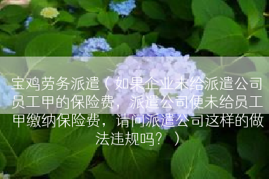 宝鸡劳务派遣（如果企业未给派遣公司员工甲的保险费，派遣公司便未给员工甲缴纳保险费，请问派遣公司这样的做法违规吗？）