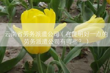 云南省劳务派遣公司（在昆明好一点的劳务派遣公司有哪些？）