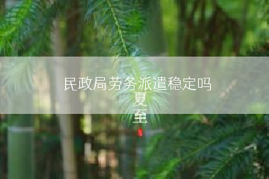 民政局劳务派遣稳定吗
