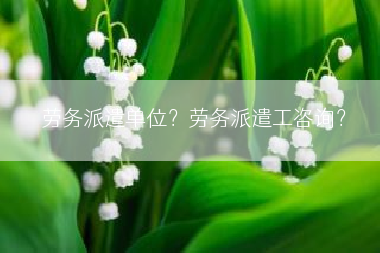 劳务派遣单位？劳务派遣工咨询？