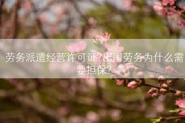 劳务派遣经营许可证?出国劳务为什么需要担保?