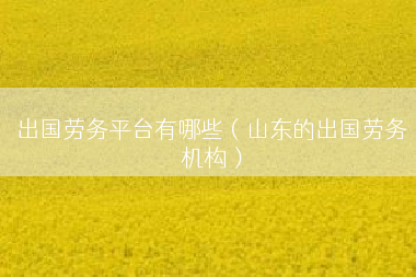 出国劳务平台有哪些（山东的出国劳务机构）