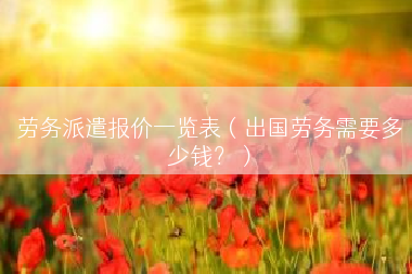 劳务派遣报价一览表（出国劳务需要多少钱？）
