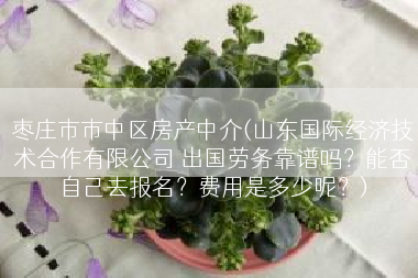 枣庄市市中区房产中介(山东国际经济技术合作有限公司 出国劳务靠谱吗？能否自己去报名？费用是多少呢？)