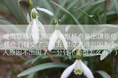 威海联桥(报了威海市联桥准备出国很信任他们钱交了三万五 但没去培训因为个人原因不出国了 一分钱不给退怎么办？)