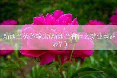 新西兰劳务输出(新西兰有什么就业网站呢？)