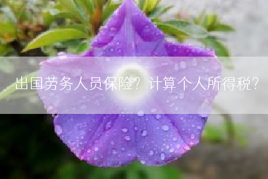 出国劳务人员保险？计算个人所得税？