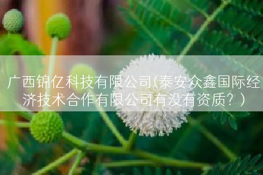 广西锦亿科技有限公司(泰安众鑫国际经济技术合作有限公司有没有资质？)