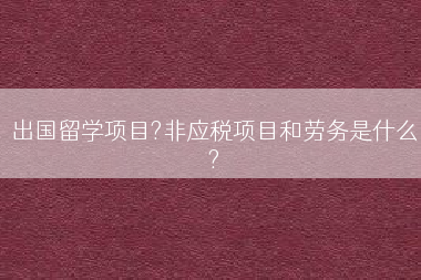 出国留学项目?非应税项目和劳务是什么?