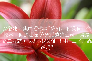 安徽建工集团招标网?你好，我没有什么技术，问的出国劳务派遣的公司，说是交三万就可以办482签证出国打工了，靠谱吗?