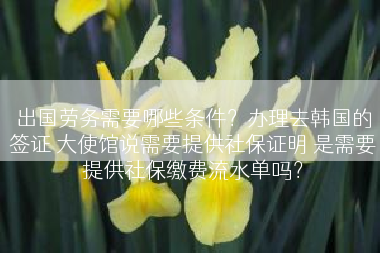 出国劳务需要哪些条件？办理去韩国的签证 大使馆说需要提供社保证明 是需要提供社保缴费流水单吗？