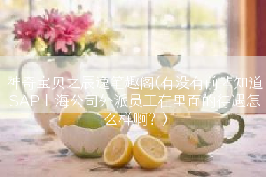 神奇宝贝之辰逸笔趣阁(有没有前辈知道SAP上海公司外派员工在里面的待遇怎么样啊？)