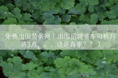 免费出国劳务网（出国招聘货车司机月薪3万，，，这是真事？？）