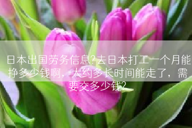 日本出国劳务信息?去日本打工一个月能挣多少钱啊，大约多长时间能走了，需要交多少钱?