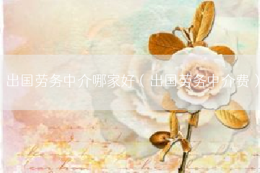 出国劳务中介哪家好（出国劳务中介费）