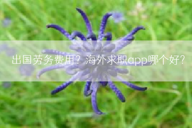 出国劳务费用？海外求职app哪个好？