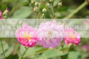 剔骨工加工 出国劳务?中铁近期招聘出国劳务在什么地方报名，需要建筑工吗?