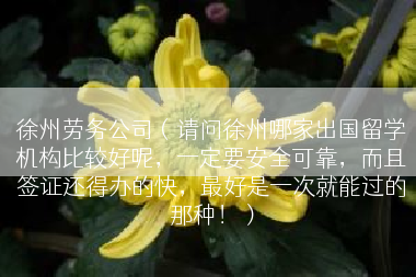 徐州劳务公司（请问徐州哪家出国留学机构比较好呢，一定要安全可靠，而且签证还得办的快，最好是一次就能过的那种！）