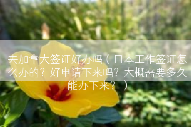 去加拿大签证好办吗（日本工作签证怎么办的？好申请下来吗？大概需要多久能办下来？）