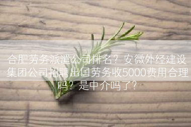 合肥劳务派遣公司排名？安微外经建设集团公司招聘出国劳务收5000费用合理吗？是中介吗了？