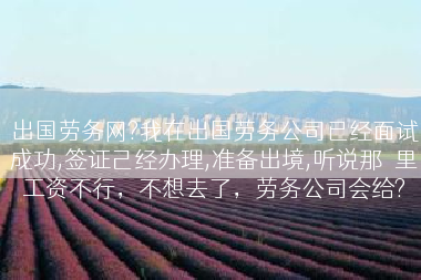 出国劳务网?我在出国劳务公司已经面试成功,签证己经办理,准备出境,听说那�里工资不行，不想去了，劳务公司会给?