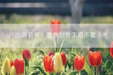 出国劳务（澳洲剔骨工累不累）