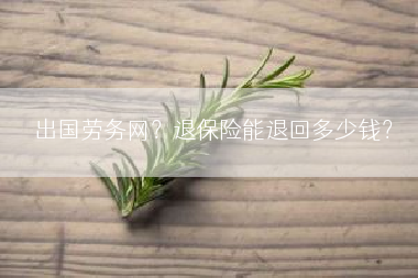 出国劳务网？退保险能退回多少钱？