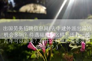 出国劳务招聘信息网(去中建外派出国的机会多吗？待遇福利怎么样？还有一般几年可以回来？有什么利弊和需要注意的地方？)